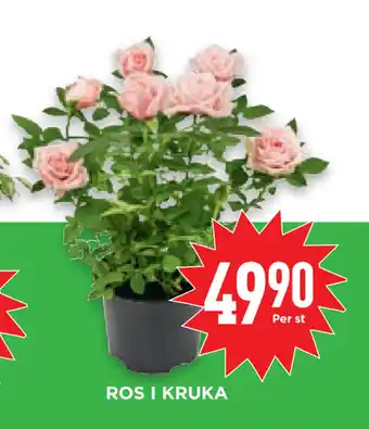 Willys Hemma ROS I KRUKA erbjuda
