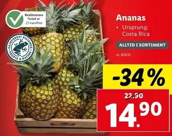 Lidl Ananas erbjuda