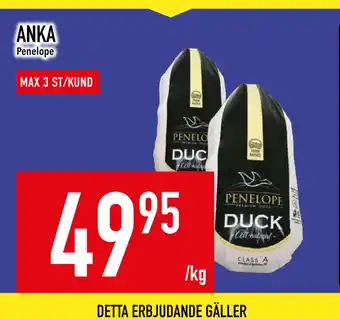 Matdax ANKA erbjuda