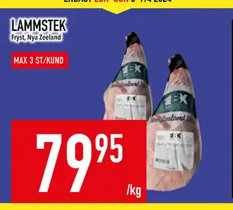 LAMMSTEK