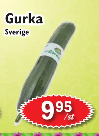 T-jarlen Gurka erbjuda