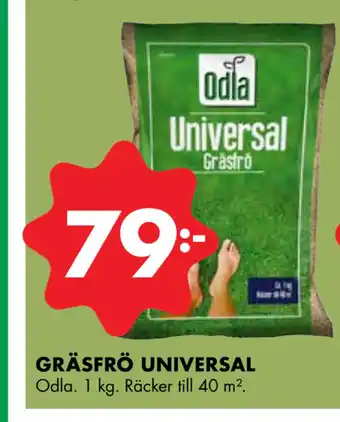 ÖoB GRÄSFRÖ UNIVERSAL erbjuda