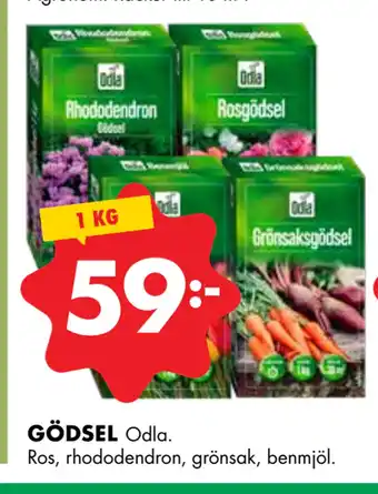 GÖDSEL