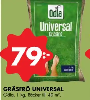 ÖoB Odla gräsfrö erbjuda