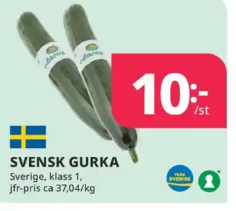 Tempo Odlarna.se gurka erbjuda