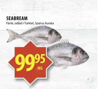Matvärlden Tensta SEABREAM erbjuda