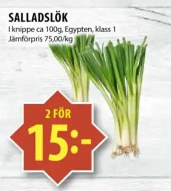 Matvärlden Tensta SALLADSLÖK erbjuda