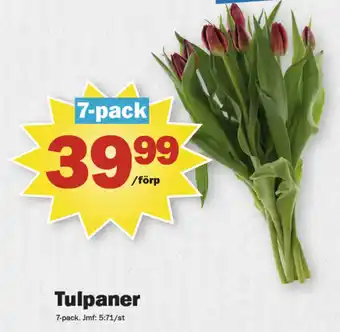Pekås Coop blommor erbjuda