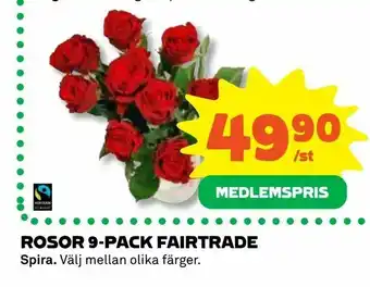 Coop Daglivs Rosor 9-pack fairtrade erbjuda