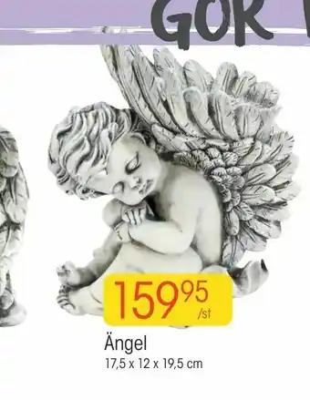 Ängel