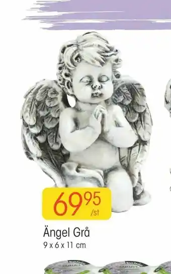 EKO Ängel Grå erbjuda