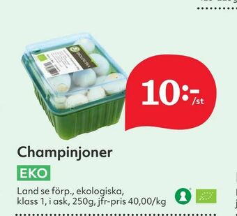 Hemköp Champinjoner erbjuda