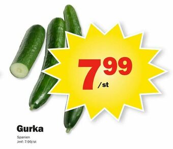 Pekås Gurka erbjuda