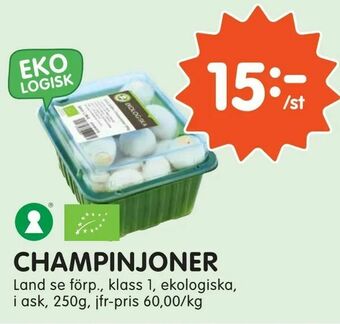 Tempo Champinjoner erbjuda