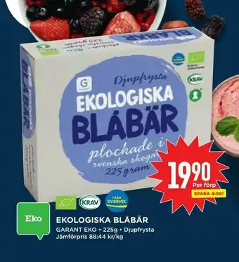 Willys Ekologiska blåbär erbjuda