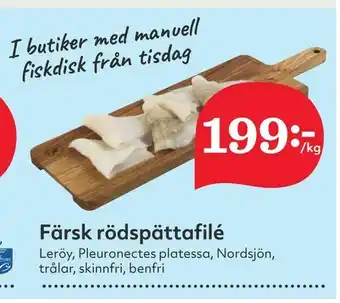 Färsk rödspättafilé