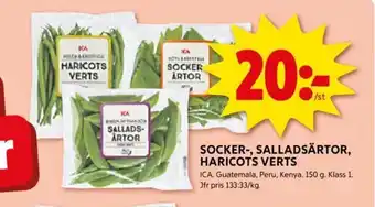 SOCKER-, SALLADSÄRTOR, HARICOTS VERTS