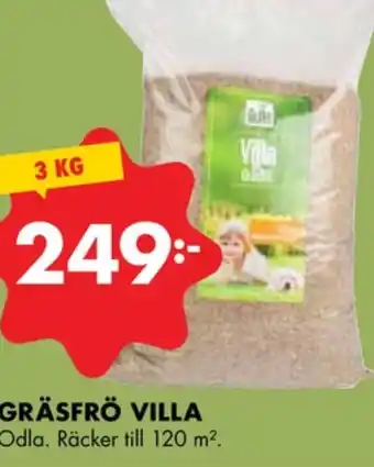ÖoB Odla gräsfrö erbjuda