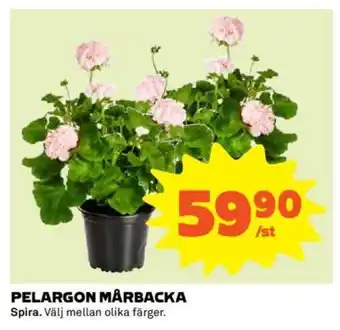 Coop PELARGON MÅRBACKA erbjuda