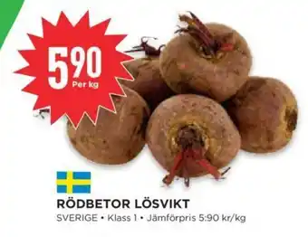 Rödbetor Lösvikt