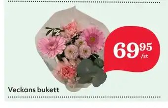 Hemköp Nature choise blommor erbjuda
