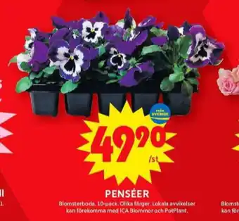 ICA Maxi Blomsterboda plantor erbjuda