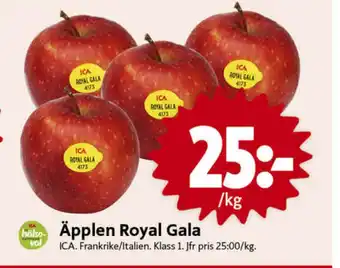 ICA Nära Ica äpplen erbjuda