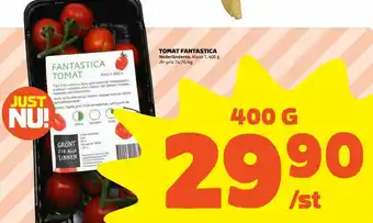 Nederländerna Tomat Fantastica 400g