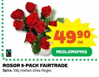 Spira Rosor 9-pack Fairtrade