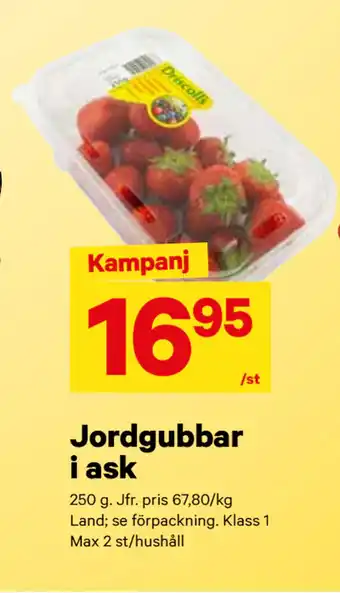 City Gross Jordgubbar i ask erbjuda