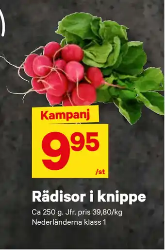 City Gross Rädisor i knippe erbjuda