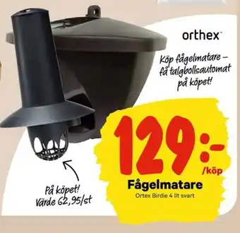 Orthex Birdie Fågelmatare