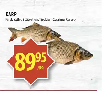 Matvärlden Tensta KARP erbjuda