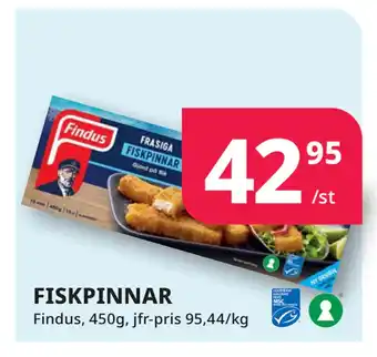 FISKPINNAR