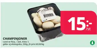 Tempo CHAMPINJONER erbjuda