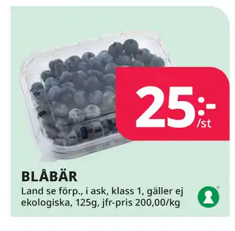 Tempo BLÅBÄR erbjuda