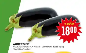 AUBERGINE