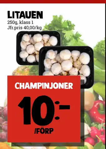 MatArket champinjoner erbjuda