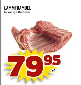LAMMFRAMDEL
