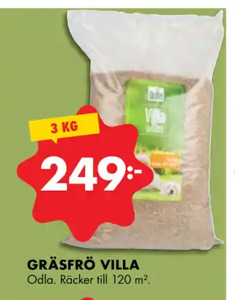 ÖoB GRÄSFRÖ VILLA erbjuda