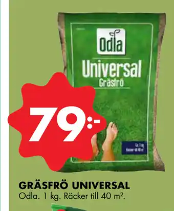 GRÄSFRÖ UNIVERSAL