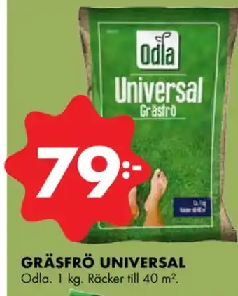 ÖoB Odla gräsfrö erbjuda