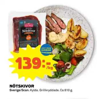 Scan grillskiva