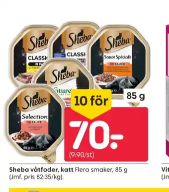 Rusta Sheba kattmat erbjuda
