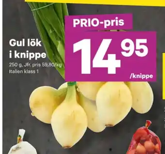 City Gross Garant lök erbjuda