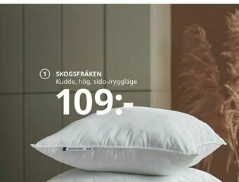 IKEA SKOGSFRÄKEN kudde erbjuda