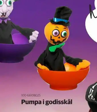 Lekia Pumpa i godisskål erbjuda