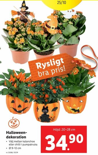 Lidl Halloween dekoration erbjuda