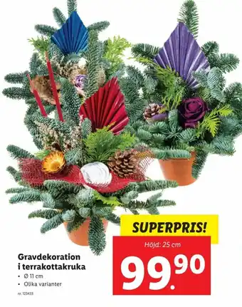 Lidl Gravdekoration i Terrakottakruka erbjuda