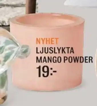 NYHET LJUSLYKTA MANGO POWDER